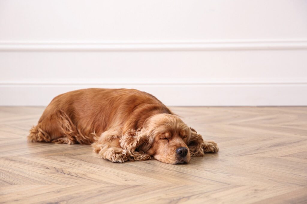 Underfloor heating